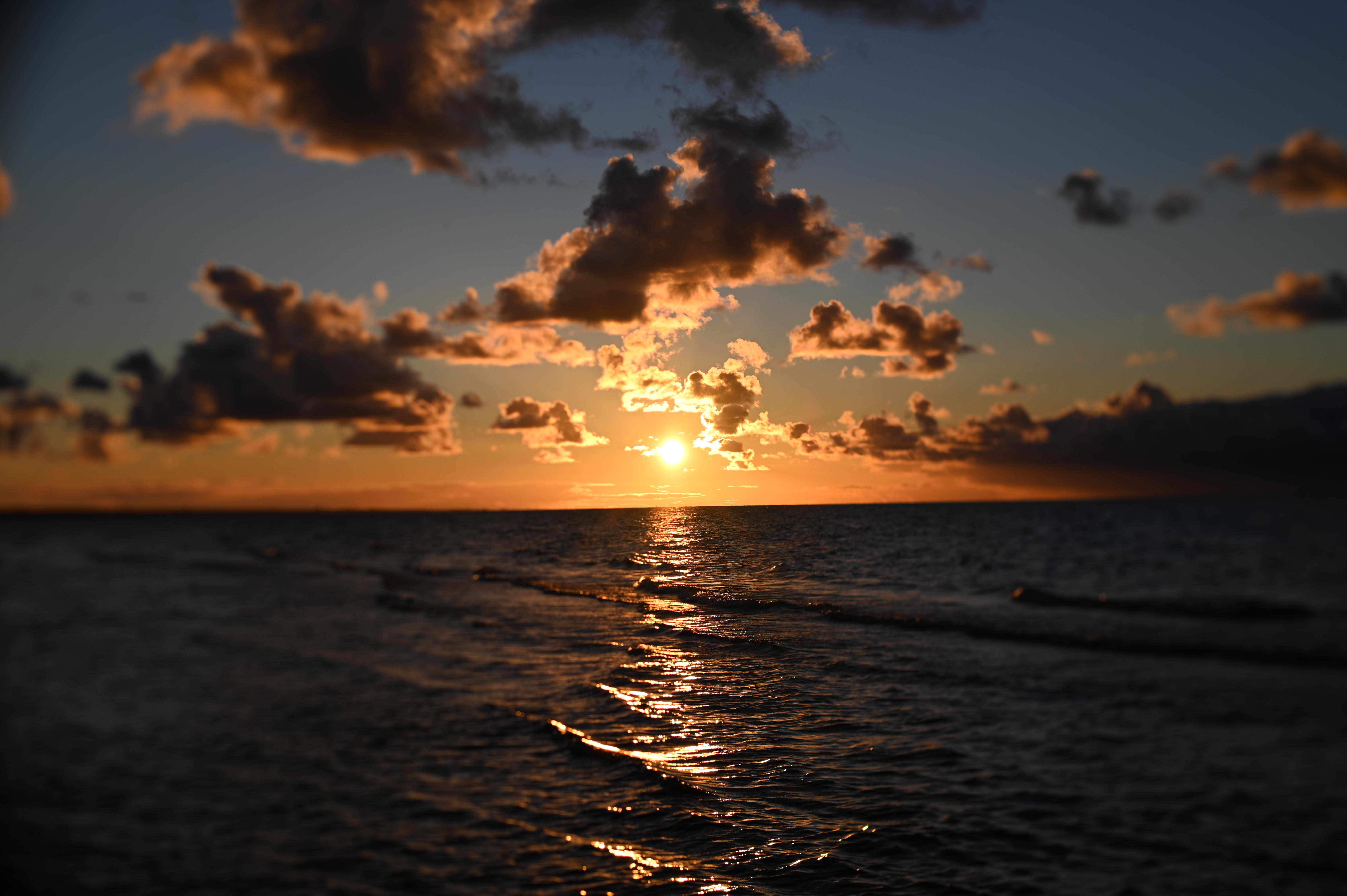 2025/10/18 - walk/DSC_0373.JPG